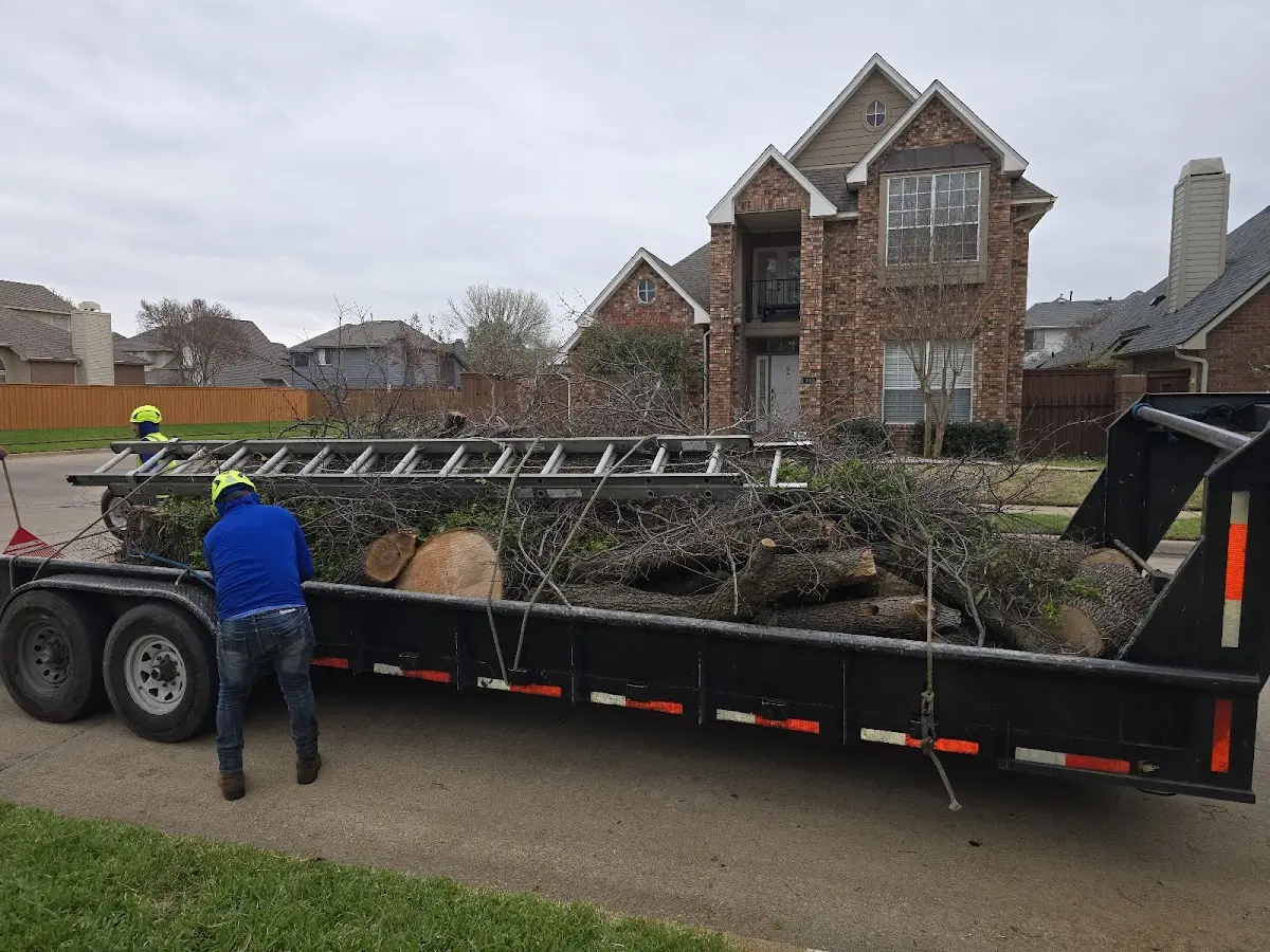 Expert Tree Fertilization with proper safety equipment in Mount Morris